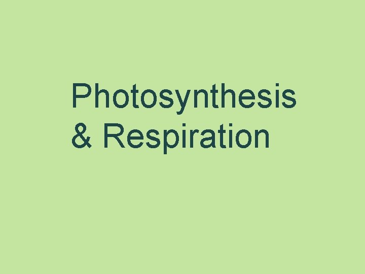 Photosynthesis & Respiration 