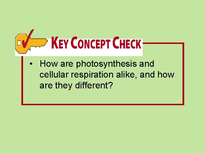  • How are photosynthesis and cellular respiration alike, and how are they different?