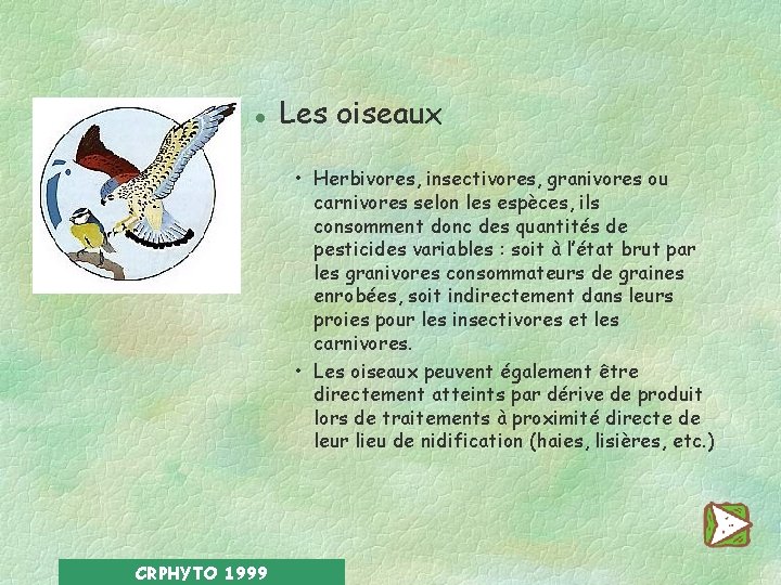 l Les oiseaux • Herbivores, insectivores, granivores ou carnivores selon les espèces, ils consomment