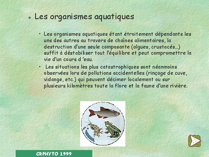 l Les organismes aquatiques • Les organismes aquatiques étant étroitement dépendants les uns des