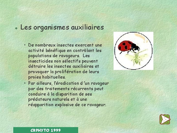l Les organismes auxiliaires • De nombreux insectes exercent une activité bénéfique en contrôlant