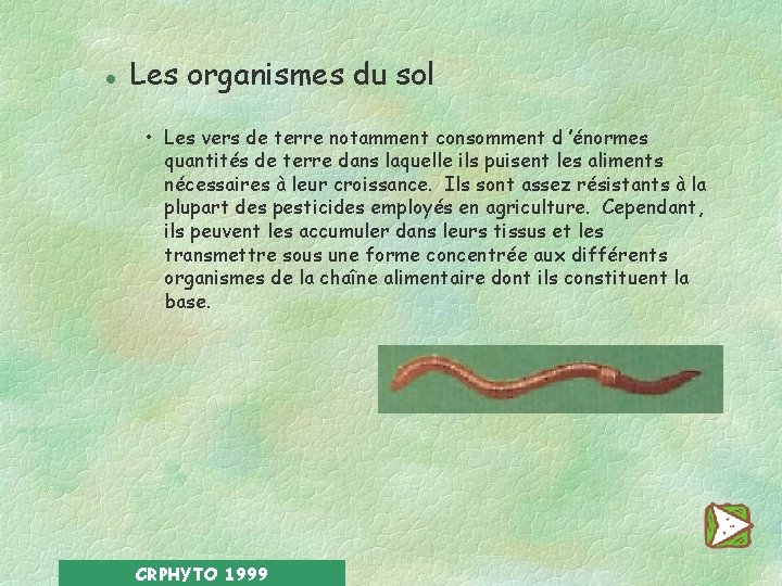 l Les organismes du sol • Les vers de terre notamment consomment d ’énormes