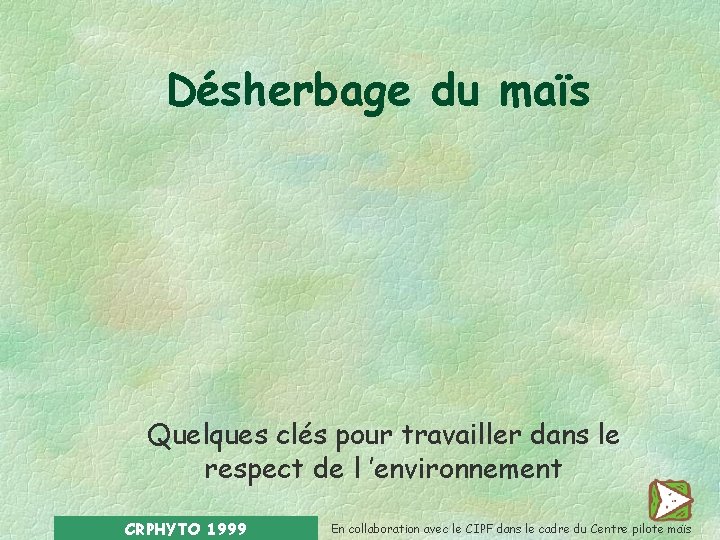 Désherbage du maïs Quelques clés pour travailler dans le respect de l ’environnement CRPHYTO