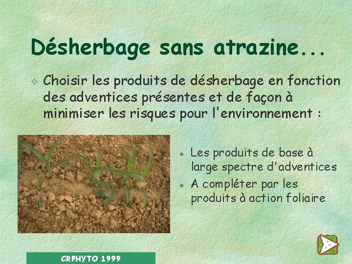 Désherbage sans atrazine. . . ² Choisir les produits de désherbage en fonction des