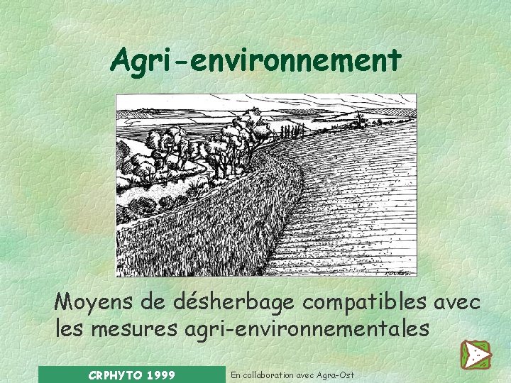 Agri-environnement Moyens de désherbage compatibles avec les mesures agri-environnementales CRPHYTO 1999 En collaboration avec