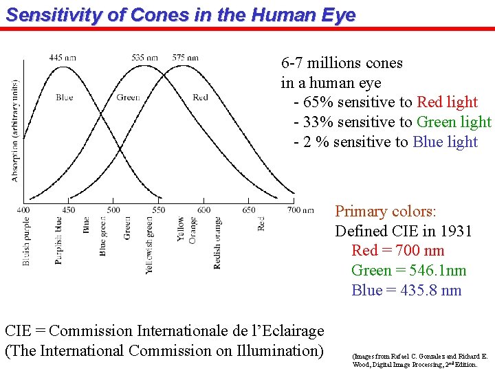 Sensitivity of Cones in the Human Eye 6 -7 millions cones in a human