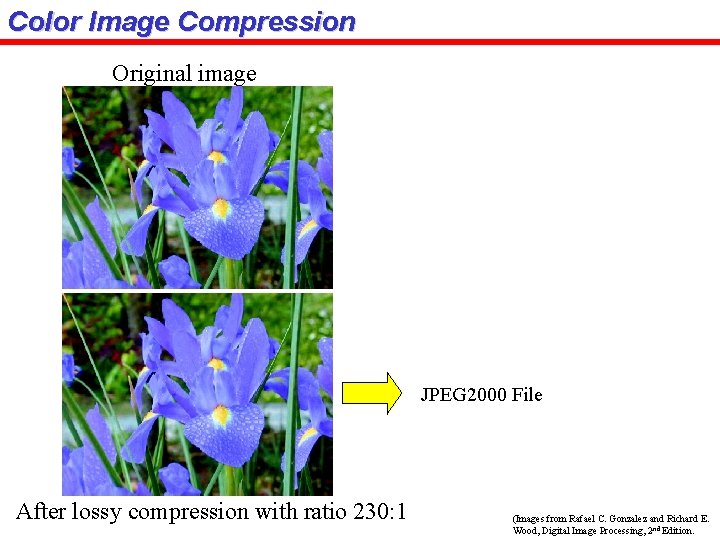 Color Image Compression Original image JPEG 2000 File After lossy compression with ratio 230: