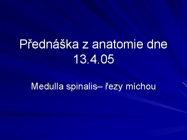 Přednáška z anatomie dne 13. 4. 05 Medulla spinalis– řezy míchou 