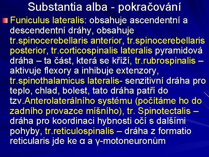 Substantia alba - pokračování Funiculus lateralis: obsahuje ascendentní a descendentní dráhy, obsahuje tr. spinocerebellaris