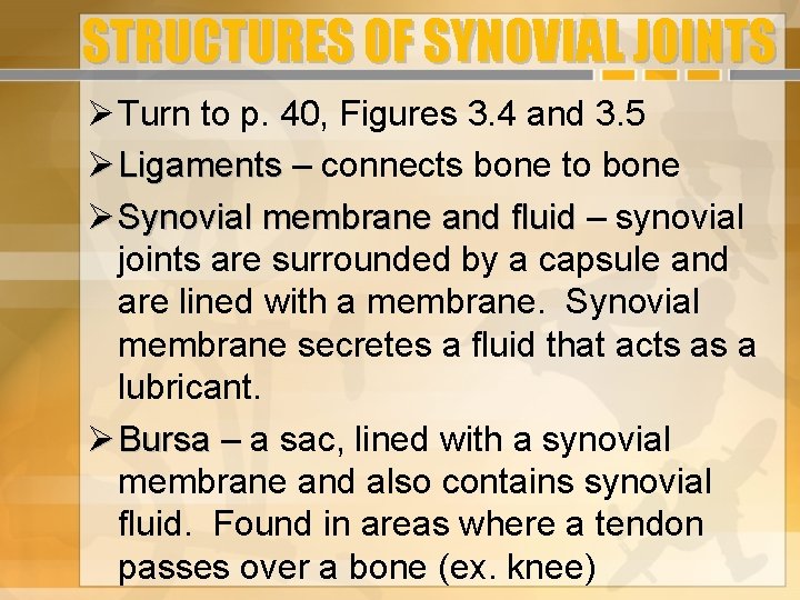 STRUCTURES OF SYNOVIAL JOINTS Turn to p. 40, Figures 3. 4 and 3. 5