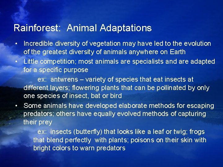 Rainforest: Animal Adaptations • Incredible diversity of vegetation may have led to the evolution Rainforest: Animal Adaptations • Incredible diversity of vegetation may have led to the evolution