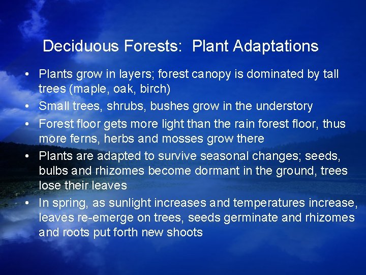 Deciduous Forests: Plant Adaptations • Plants grow in layers; forest canopy is dominated by Deciduous Forests: Plant Adaptations • Plants grow in layers; forest canopy is dominated by