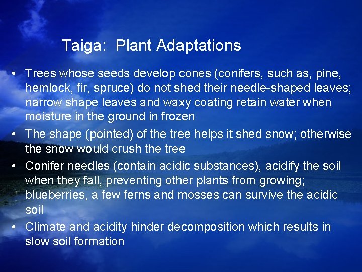 Taiga: Plant Adaptations • Trees whose seeds develop cones (conifers, such as, pine, hemlock, Taiga: Plant Adaptations • Trees whose seeds develop cones (conifers, such as, pine, hemlock,
