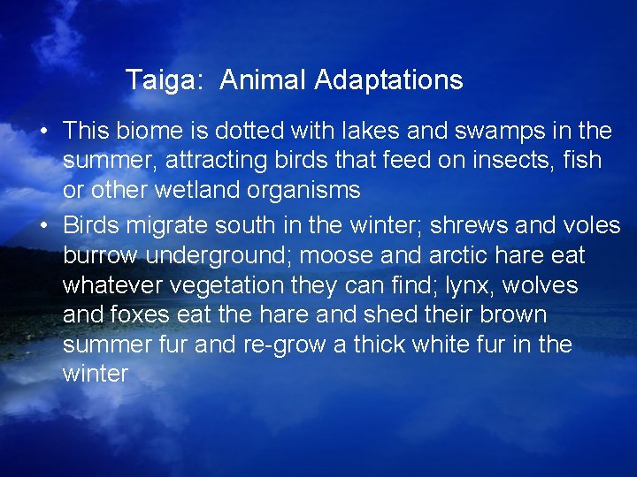 Taiga: Animal Adaptations • This biome is dotted with lakes and swamps in the Taiga: Animal Adaptations • This biome is dotted with lakes and swamps in the