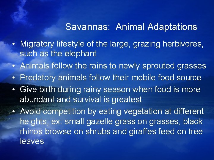 Savannas: Animal Adaptations • Migratory lifestyle of the large, grazing herbivores, such as the Savannas: Animal Adaptations • Migratory lifestyle of the large, grazing herbivores, such as the