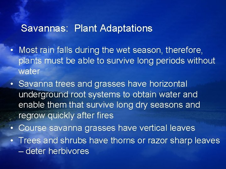 Savannas: Plant Adaptations • Most rain falls during the wet season, therefore, plants must Savannas: Plant Adaptations • Most rain falls during the wet season, therefore, plants must