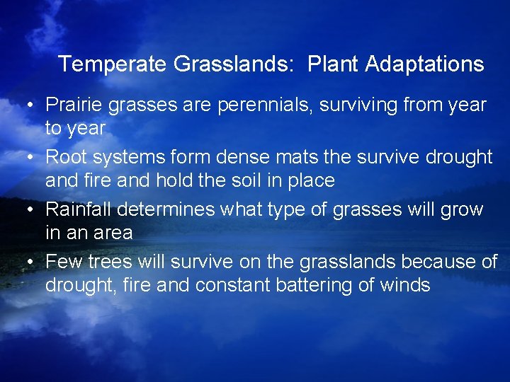 Temperate Grasslands: Plant Adaptations • Prairie grasses are perennials, surviving from year to year Temperate Grasslands: Plant Adaptations • Prairie grasses are perennials, surviving from year to year