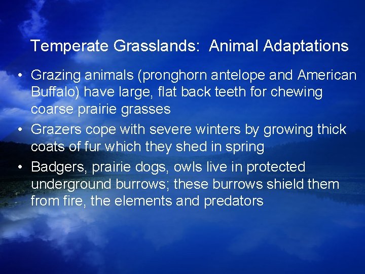 Temperate Grasslands: Animal Adaptations • Grazing animals (pronghorn antelope and American Buffalo) have large, Temperate Grasslands: Animal Adaptations • Grazing animals (pronghorn antelope and American Buffalo) have large,