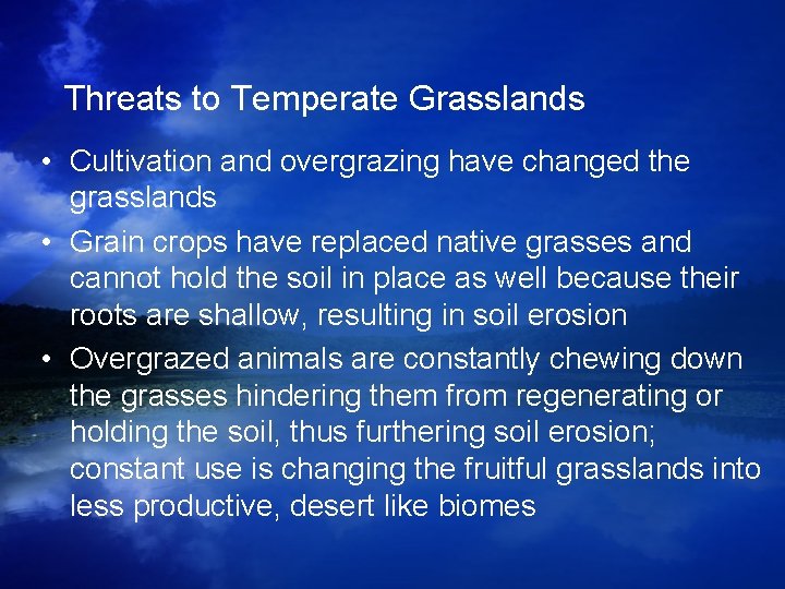 Threats to Temperate Grasslands • Cultivation and overgrazing have changed the grasslands • Grain Threats to Temperate Grasslands • Cultivation and overgrazing have changed the grasslands • Grain