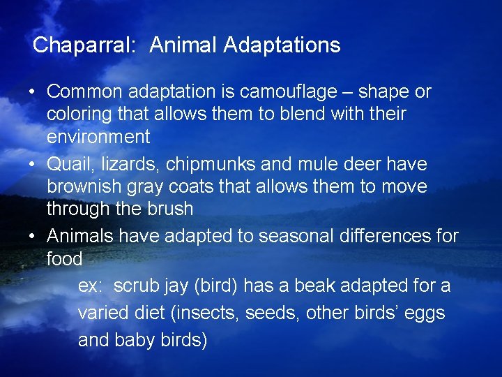 Chaparral: Animal Adaptations • Common adaptation is camouflage – shape or coloring that allows Chaparral: Animal Adaptations • Common adaptation is camouflage – shape or coloring that allows