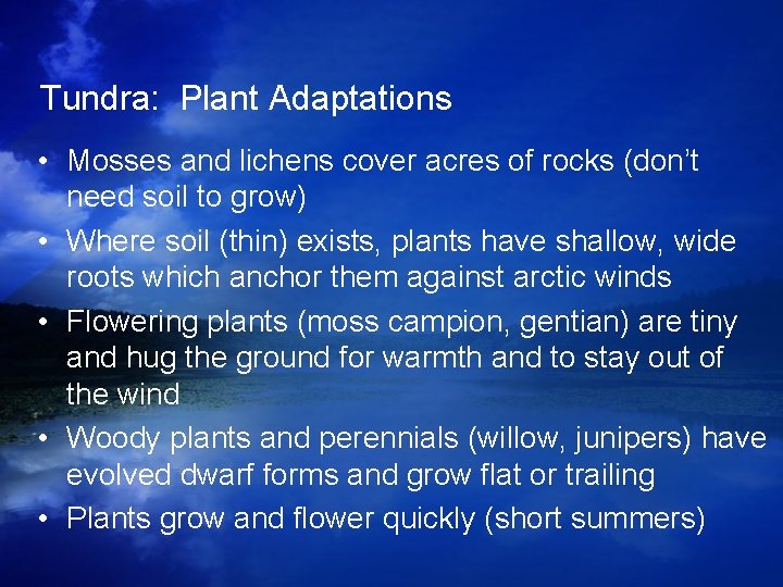 Tundra: Plant Adaptations • Mosses and lichens cover acres of rocks (don’t need soil Tundra: Plant Adaptations • Mosses and lichens cover acres of rocks (don’t need soil