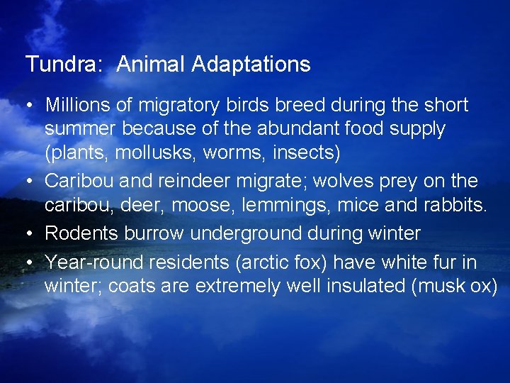 Tundra: Animal Adaptations • Millions of migratory birds breed during the short summer because Tundra: Animal Adaptations • Millions of migratory birds breed during the short summer because