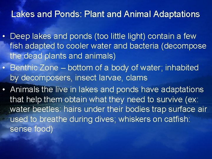 Lakes and Ponds: Plant and Animal Adaptations • Deep lakes and ponds (too little Lakes and Ponds: Plant and Animal Adaptations • Deep lakes and ponds (too little