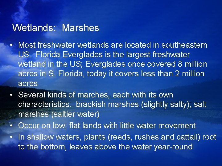 Wetlands: Marshes • Most freshwater wetlands are located in southeastern US. Florida Everglades is Wetlands: Marshes • Most freshwater wetlands are located in southeastern US. Florida Everglades is