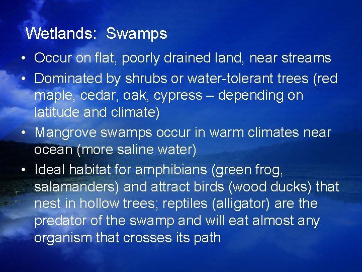 Wetlands: Swamps • Occur on flat, poorly drained land, near streams • Dominated by Wetlands: Swamps • Occur on flat, poorly drained land, near streams • Dominated by