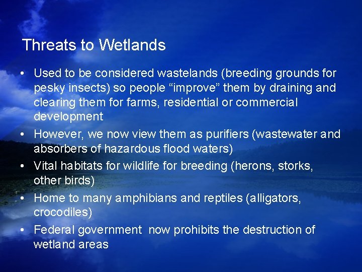 Threats to Wetlands • Used to be considered wastelands (breeding grounds for pesky insects) Threats to Wetlands • Used to be considered wastelands (breeding grounds for pesky insects)