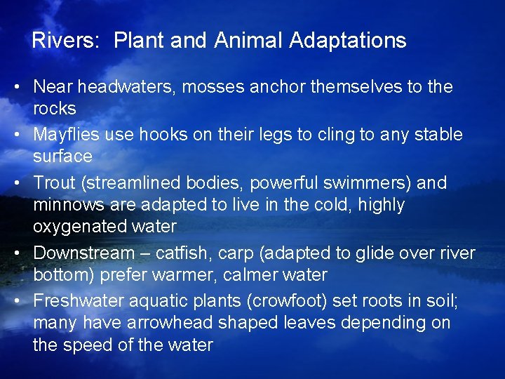 Rivers: Plant and Animal Adaptations • Near headwaters, mosses anchor themselves to the rocks Rivers: Plant and Animal Adaptations • Near headwaters, mosses anchor themselves to the rocks