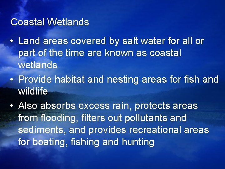 Coastal Wetlands • Land areas covered by salt water for all or part of Coastal Wetlands • Land areas covered by salt water for all or part of