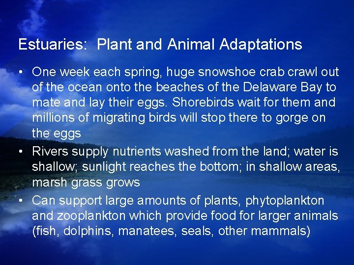Estuaries: Plant and Animal Adaptations • One week each spring, huge snowshoe crab crawl Estuaries: Plant and Animal Adaptations • One week each spring, huge snowshoe crab crawl