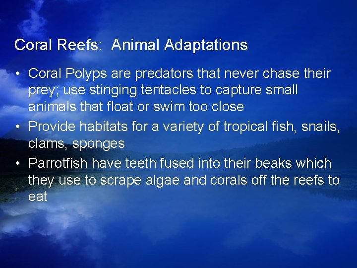 Coral Reefs: Animal Adaptations • Coral Polyps are predators that never chase their prey; Coral Reefs: Animal Adaptations • Coral Polyps are predators that never chase their prey;