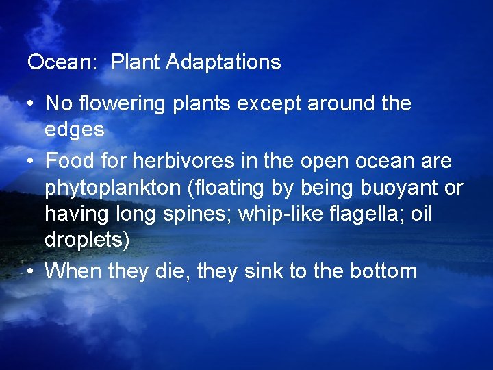 Ocean: Plant Adaptations • No flowering plants except around the edges • Food for Ocean: Plant Adaptations • No flowering plants except around the edges • Food for