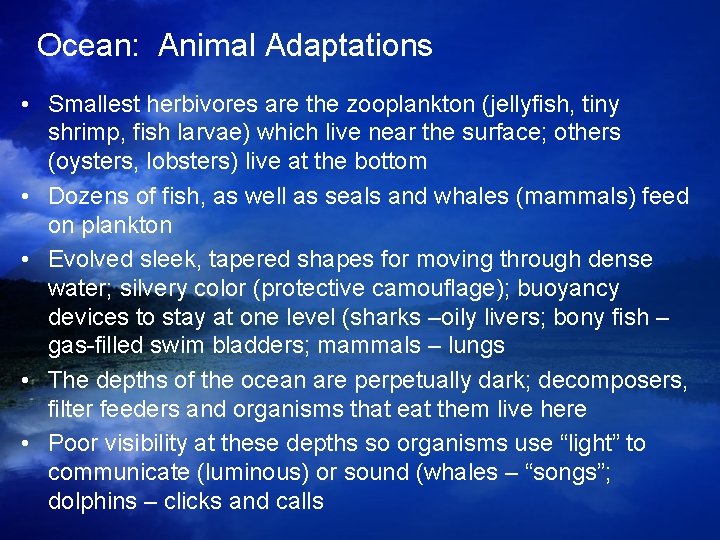 Ocean: Animal Adaptations • Smallest herbivores are the zooplankton (jellyfish, tiny shrimp, fish larvae) Ocean: Animal Adaptations • Smallest herbivores are the zooplankton (jellyfish, tiny shrimp, fish larvae)