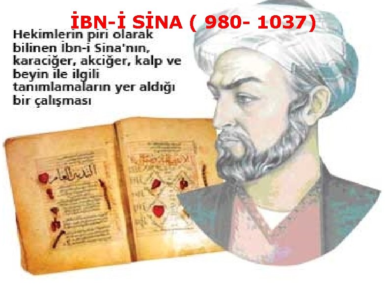İBN İ SİNA ( 980 1037) 