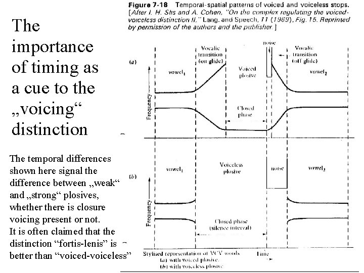 The importance of timing as a cue to the „voicing“ distinction The temporal differences