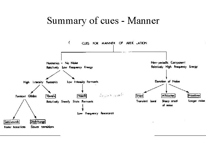 Summary of cues - Manner 