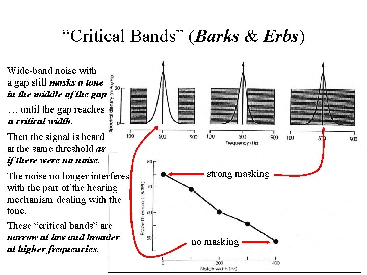 “Critical Bands” (Barks & Erbs) Wide-band noise with a gap still masks a tone