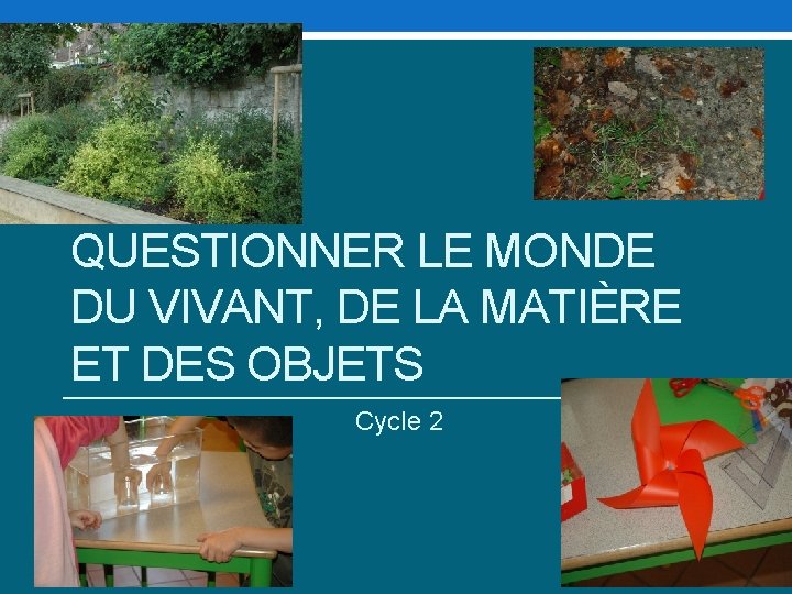 QUESTIONNER LE MONDE DU VIVANT, DE LA MATIÈRE ET DES OBJETS Cycle 2 