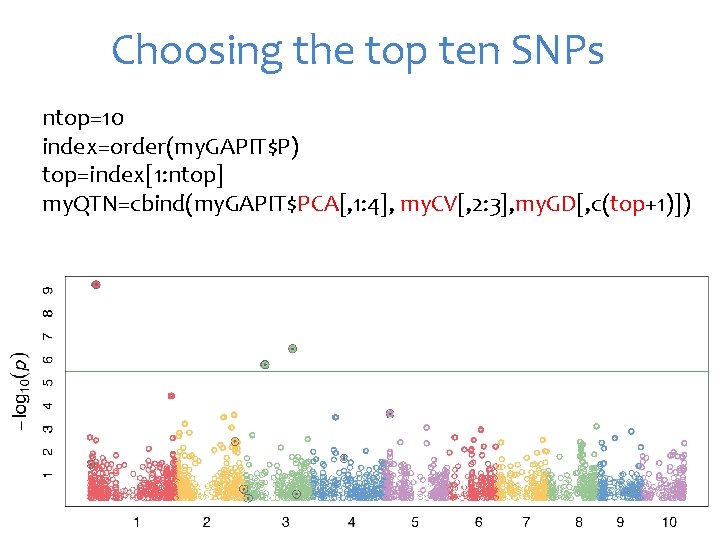 Choosing the top ten SNPs ntop=10 index=order(my. GAPIT$P) top=index[1: ntop] my. QTN=cbind(my. GAPIT$PCA[, 1: