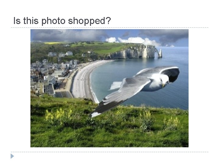 Is this photo shopped? 