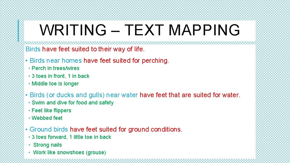 WRITING – TEXT MAPPING Birds have feet suited to their way of life. •