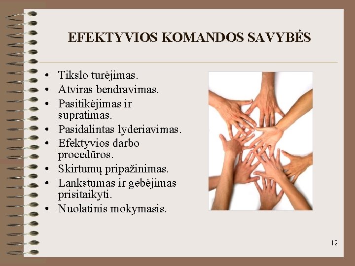 EFEKTYVIOS KOMANDOS SAVYBĖS • Tikslo turėjimas. • Atviras bendravimas. • Pasitikėjimas ir supratimas. •