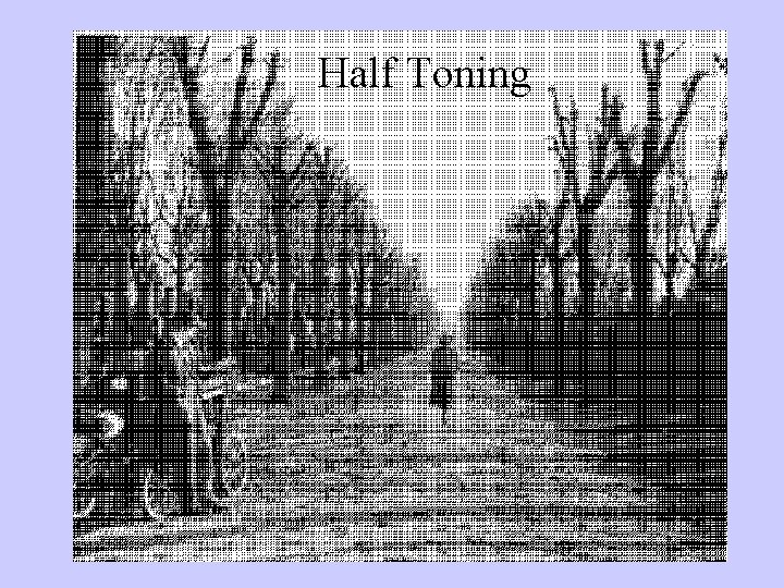 Half Toning 