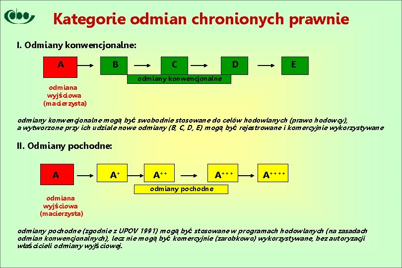 Kategorie odmian chronionych prawnie I. Odmiany konwencjonalne: A B C D E odmiany konwencjonalne