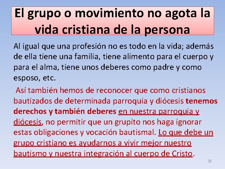 El grupo o movimiento no agota la vida cristiana de la persona Al igual