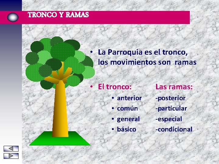 TRONCO Y RAMAS • La Parroquia es el tronco, los movimientos son ramas •