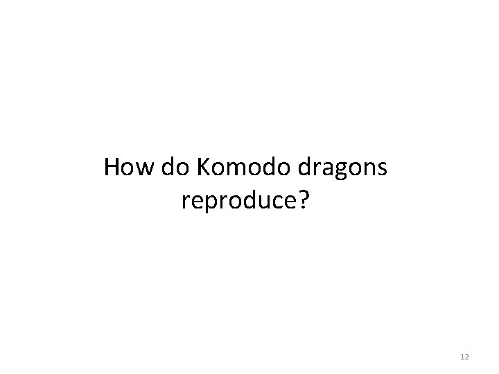 How do Komodo dragons reproduce? 12 